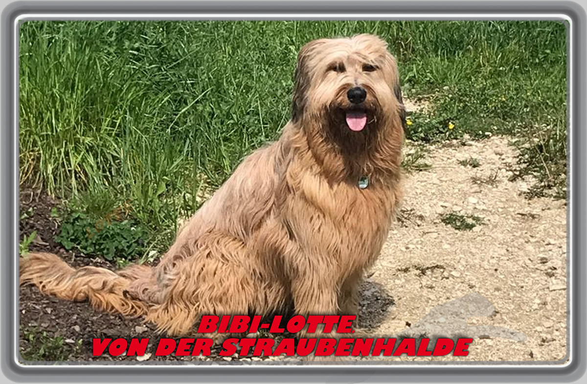 Wäller von der Straubenhalde